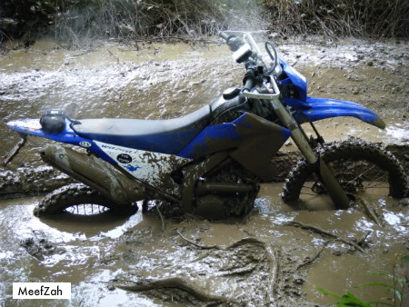 WR250R Forum