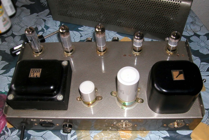 DIY mono integrated/power amp (Used) Luxy111