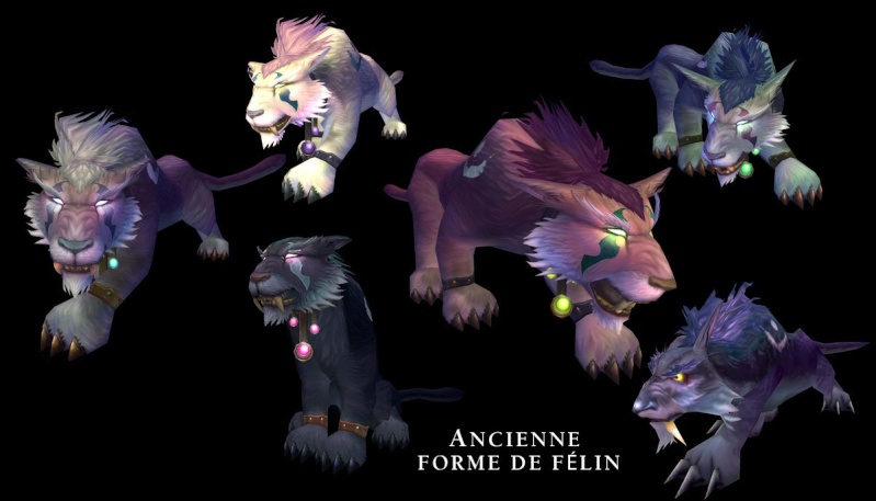 Nouvelle apparence ours / félin Falin_10