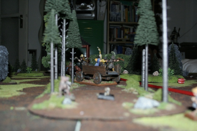 Boring Mordheim Meeting in Bremen 2009 (UPDATED WITH PICS!) - Page 3 07_tow10
