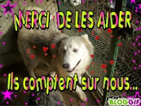 Urgent !!!! Appel aux dons pour Eden Valley - Page 2 Merci_10