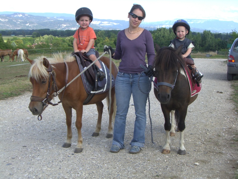 on a mis une petite teigne dans le pres des chevaux : c'est le bordel - Page 5 Premie10