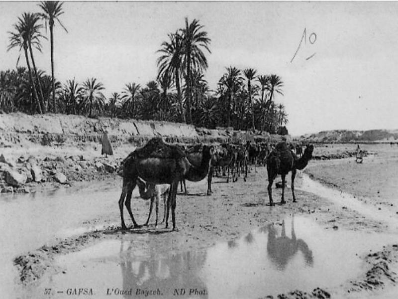 صور نادرة وأخرى حديثة لام المدائن قفصة - صفحة 2 67_10110