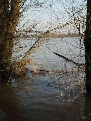 Loire, une destination à découvrir Nature11