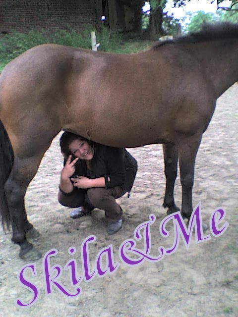 Craziest Horse Picture - Abstimmung Dsc01410