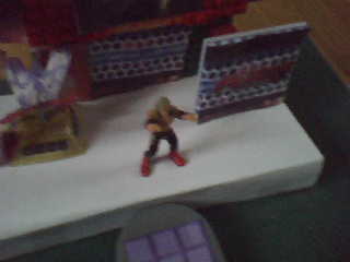 Micro WWE Dsc00214