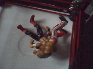 Micro WWE Dsc00413