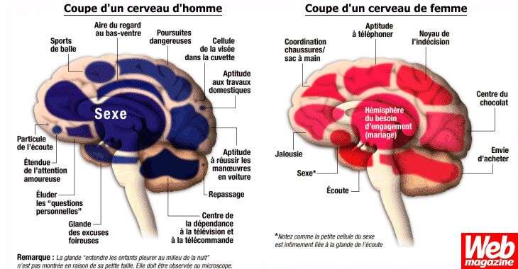 Concours d'images insolites... (Nouvelle Edition!!!) Femme-10