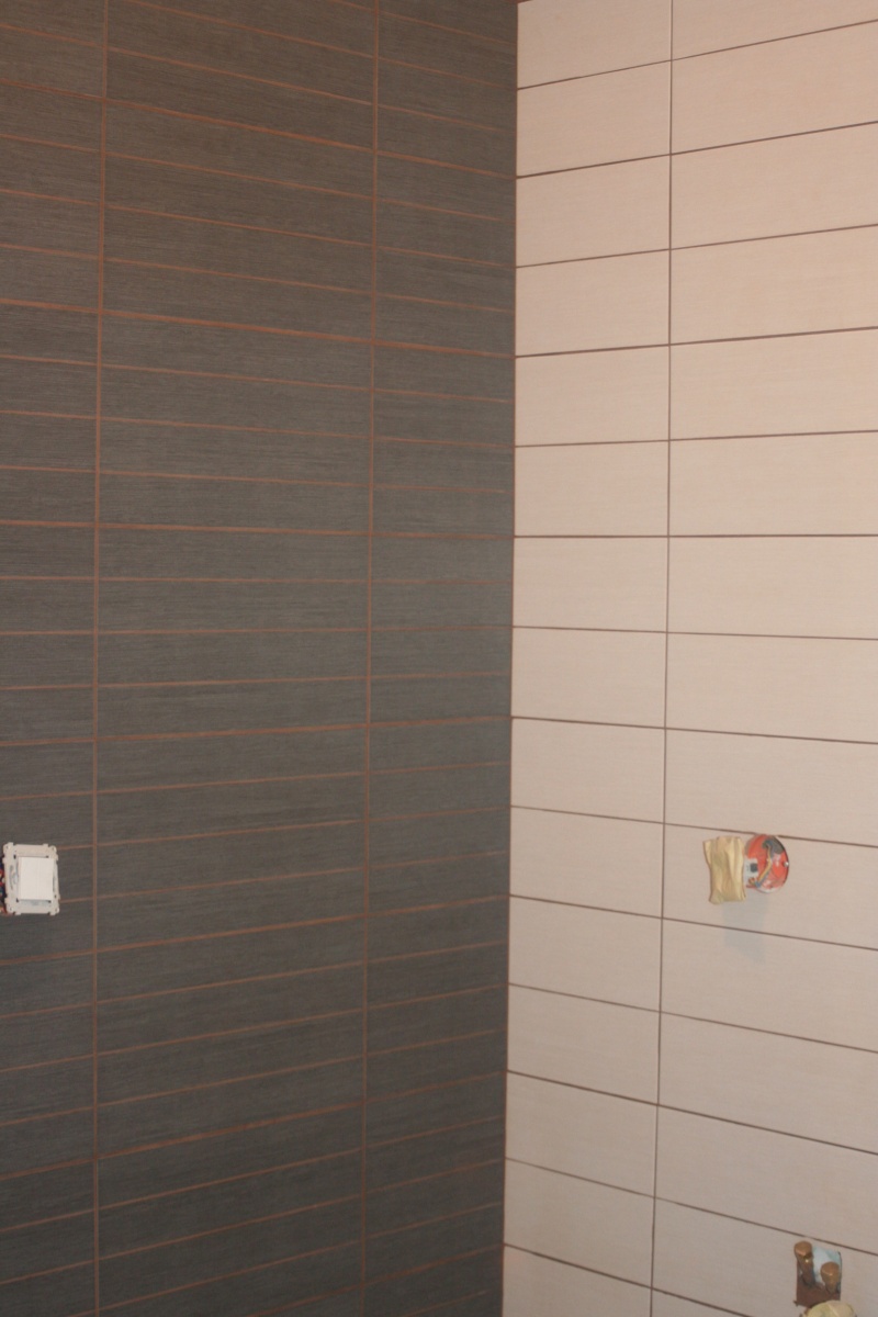 La salle de bains familiale (pas grande) : idées couleur pour mur + rampant ?? Img_5915