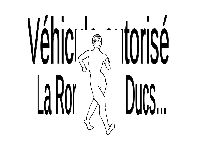 27-28 avril 2013: La Ronde des Ducs: 24h, 6h - Page 3 Vahicu10
