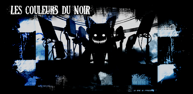 noir - Les couleurs du noir Bann_d10