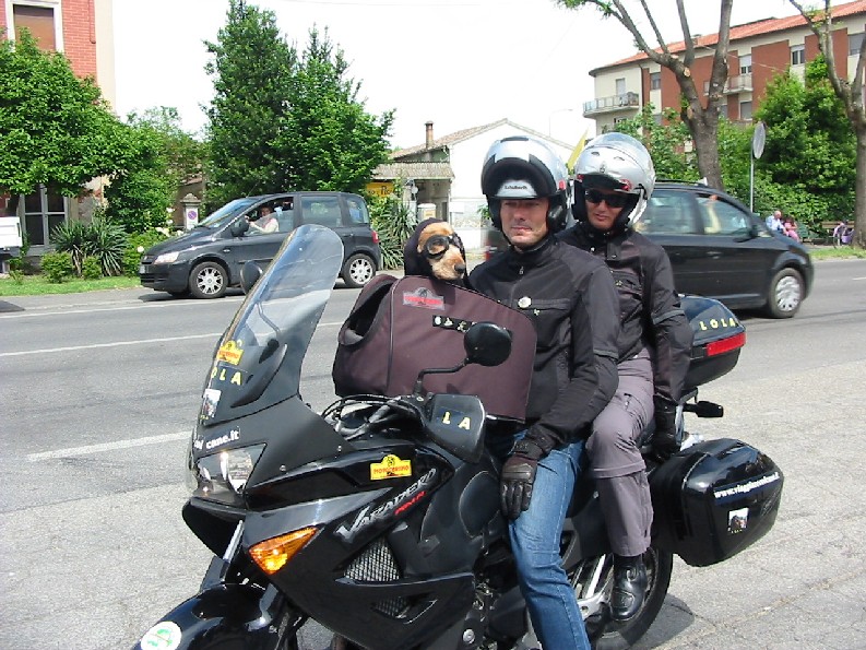 TRASPORTO DI ANIMALI IN MOTO 152-5210