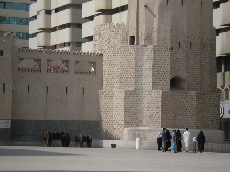 Les Emirats Arabes Unis en photos Fort_d10