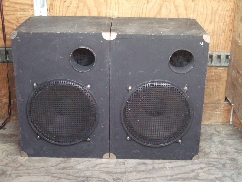 deux caissons de basses sono hp 15 (600watts) 00510