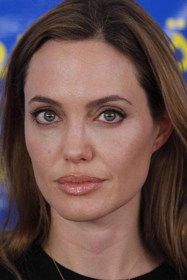 Angelina at World Refugee Day..Jordan..June 20th 2013 - Page 2 0_523