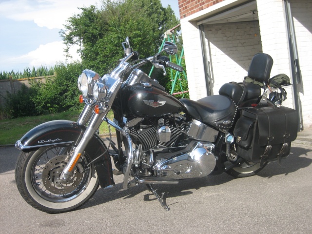 Combien de Softail sur le forum Passion-Harley - Page 3 Softai19