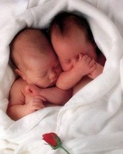 ~~ CutE TwinS BabieS ~~ 2040-c10