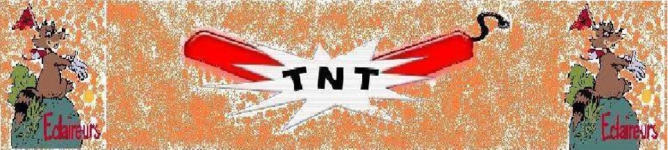 Troupe TNT 73