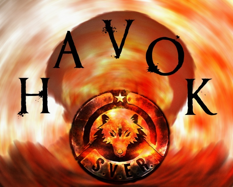 Logo Design Havokw11