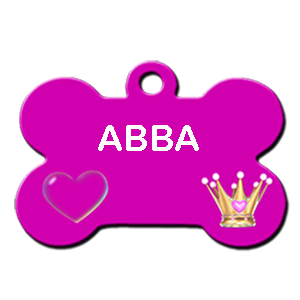 ABBA/FEMELLE/3 A 4 MOIS / TAILLE MOYENNE ADULTE AU REFUGE/DEMANDE EN COURS/STERILISEE Abba10