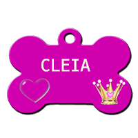 CLEIA/FEMELLE/NEE VERS NOVEMBRE 2019/TAILLE MOYENNNE ADULTE / réservée adoption Cleia10