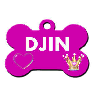 DJIN/FEMELLE/nee vers mai 2019/TAILLE MOYENNE ADULTE  Djin10