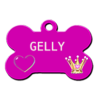 GELLY/FEMELLE/NEE VERS NOVEMBRE 2019/TAILLE MOYENNNE ADULTE / réservée adoption Gelly10