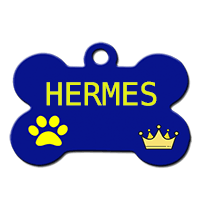 HERMES/MALE/NE VERS NOVEMBRE 2019/TAILLE PETITE ADULTE / dossier en cours Hermes10