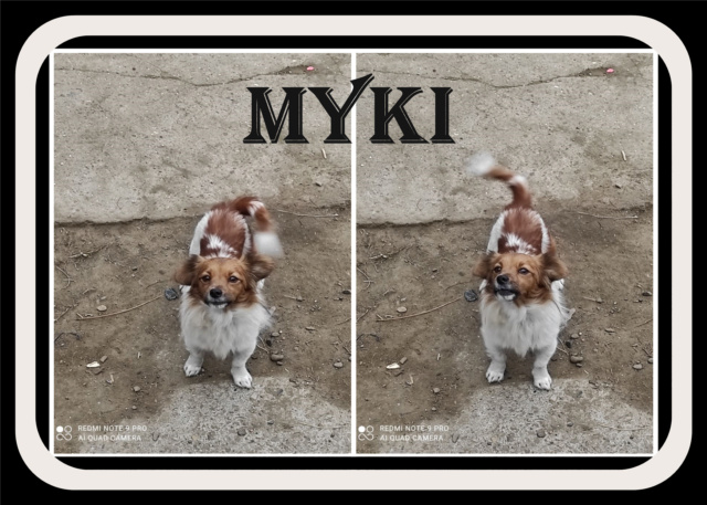 MYKI/MALE/NE VERS 2015/TAILLE PETITE /en attente de réservation  Myki11