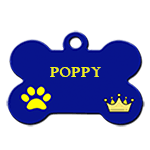 POPPY/MALE/NE VERS OCTOBRE 2019/TAILLE MOYENNE ADULTE / une dde d'adoption en cours Poppy10
