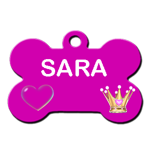 SARA/FEMELLE/née vers juin 2019 /TAILLE MOYENNE ADULTE /au refuge /pas stérilisée Sara10
