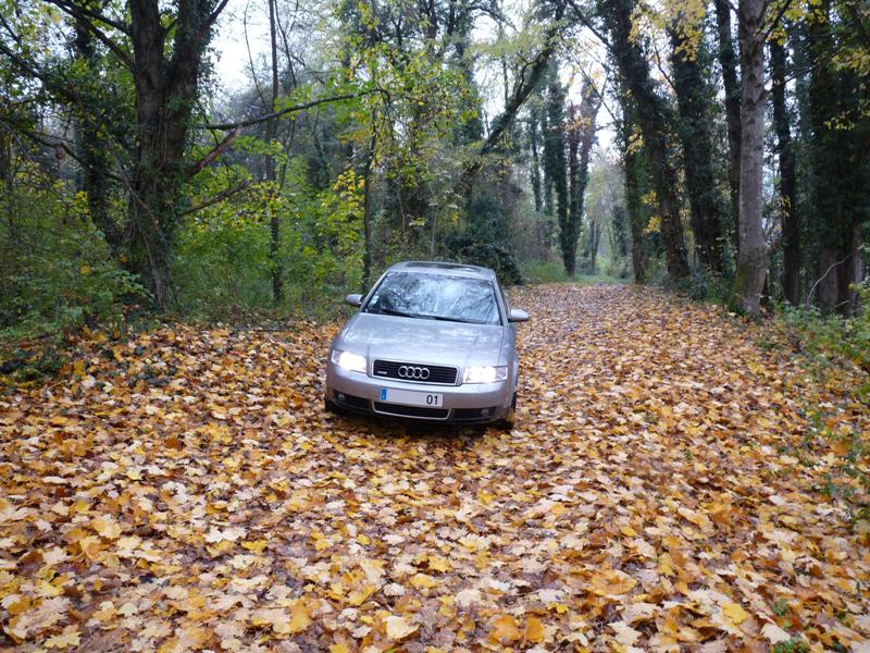 [Photo-reportage] A4 B6 2.5 tdi 180cv Quattro P1020057