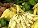 les fruits et legumes de la martinique Banane10