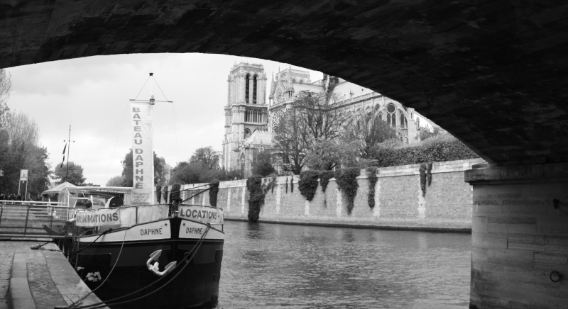 le long de la seine Vue_du10