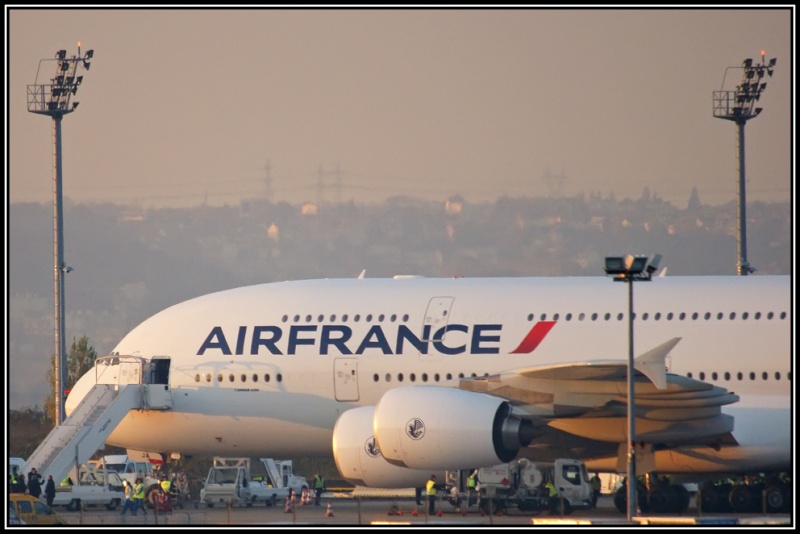 [HS] Arrivée de l'A380 (F-HPJA) sur Orly le 11/11/2009 - Page 6 Dsc03514
