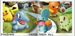 Pokemon: Catch them All Bannia10