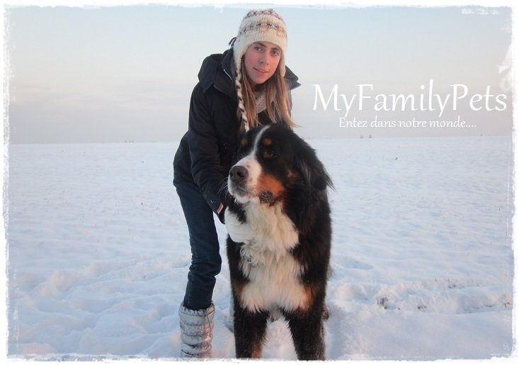 MyFamilyPets 30385010