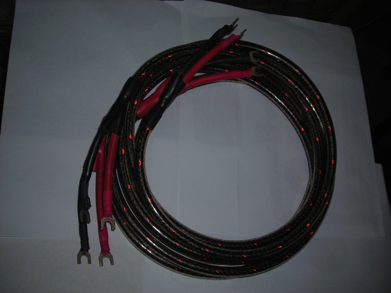 (SOLD)Wireworld Equinox speaker cable Dscn1026