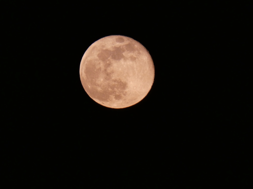 Quelques clichés de la Lune P1040710