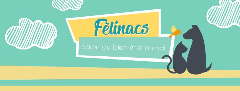 [FR] Felinacs - 12 mai 2019 51328910