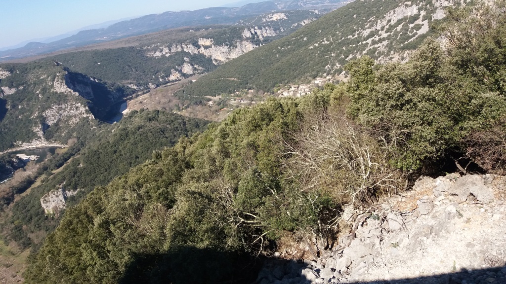 Dodécaudax "sudiste" 20190320