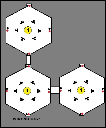 NIVEAU 002 - Page 3 Niveau10