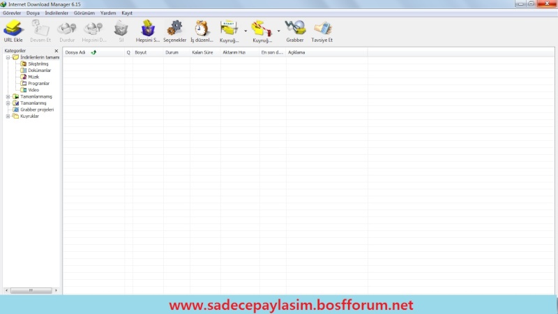 İnternet Download Manager ( -30 Günlük- )  Adm10