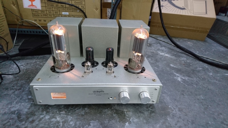 Line Magnetic LM-218IA 845 tube amplifier (sold)