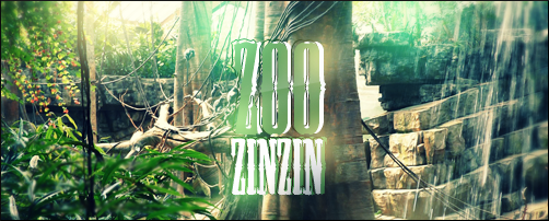 Zoo Zinzin