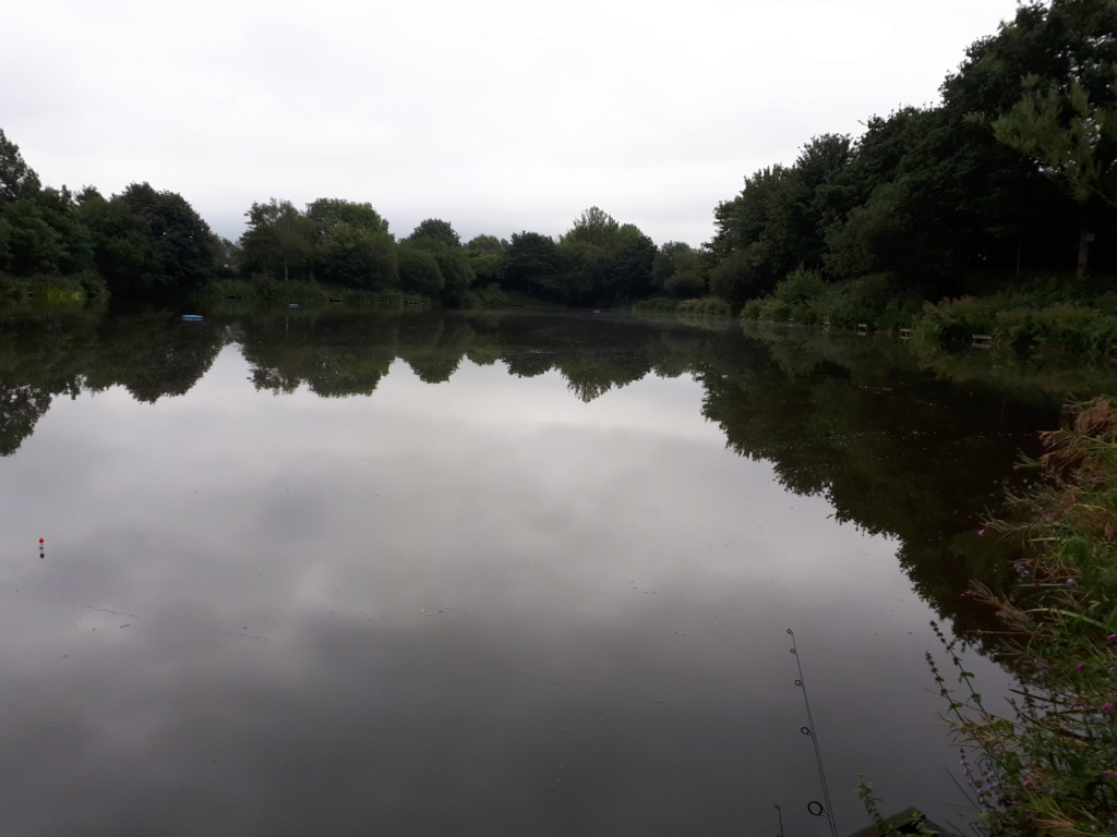 Tench fishing 20180811