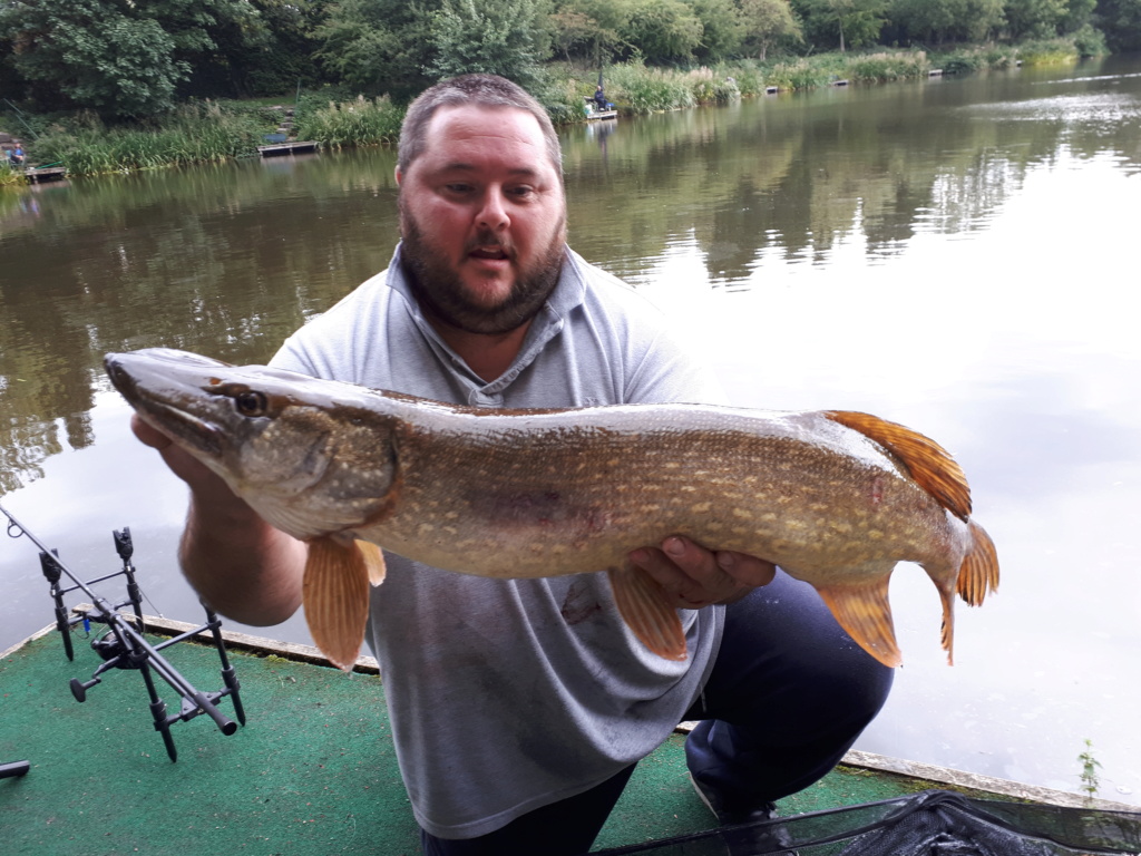 Tench fishing 20180819