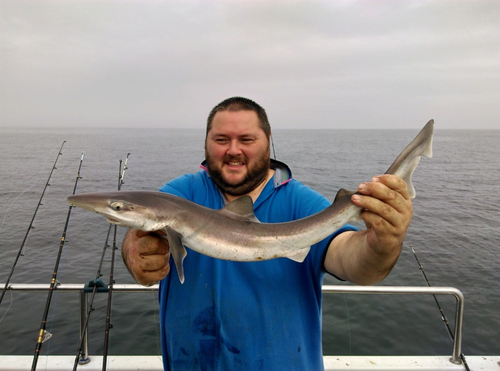 Shark hunting Img-2019