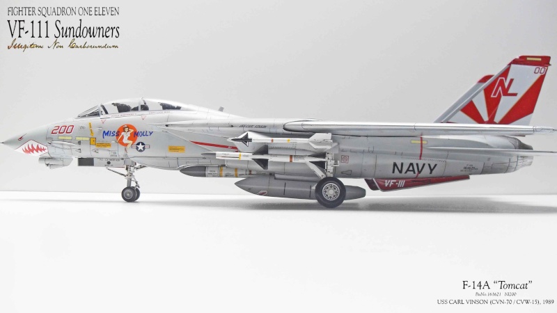 F-14A TOMCAT - VF 111 SUNDOWNERS -"MISS MOLLY" -1/48 -ACADEMY - Page 2 Tom_1_11