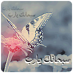 وسائط اسلامية جديدة Pic-2210